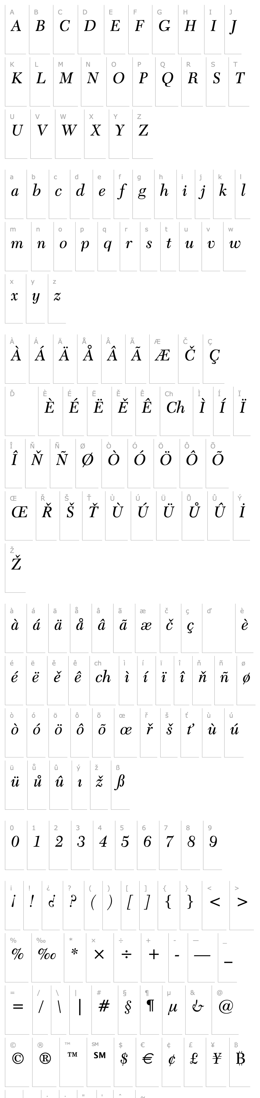 Overview Transitional 511 Italic BT