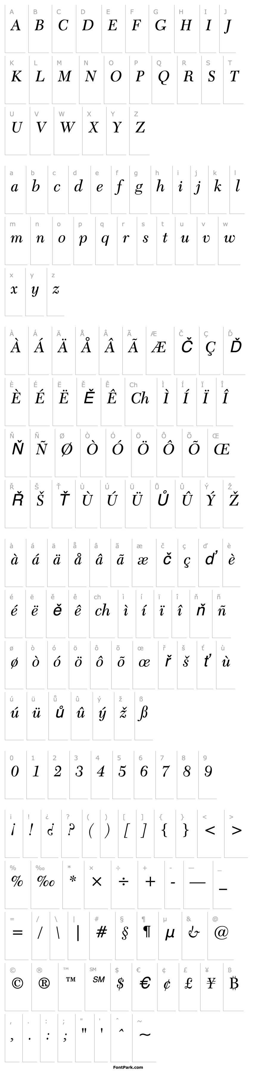 Přehled Transitional511BT-Italic