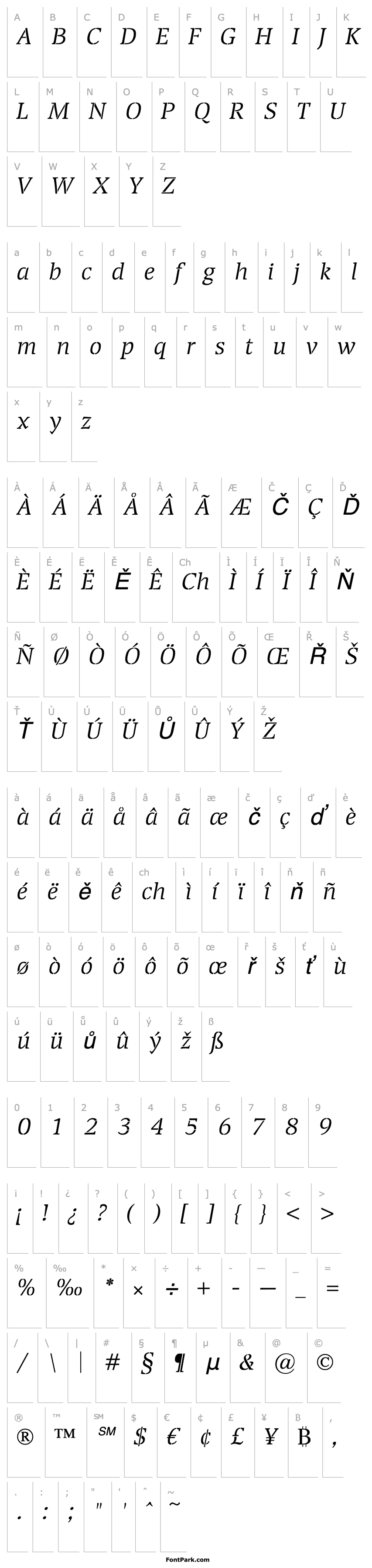 Overview Transport Light Italic