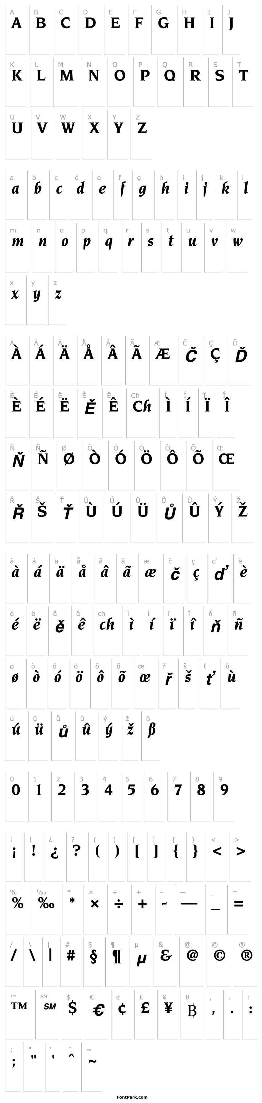 Overview Trident SSi Bold Italic