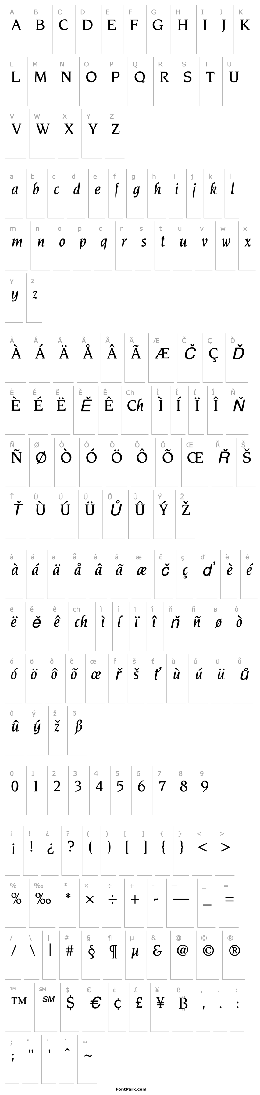 Overview TridentMediumSSK Italic