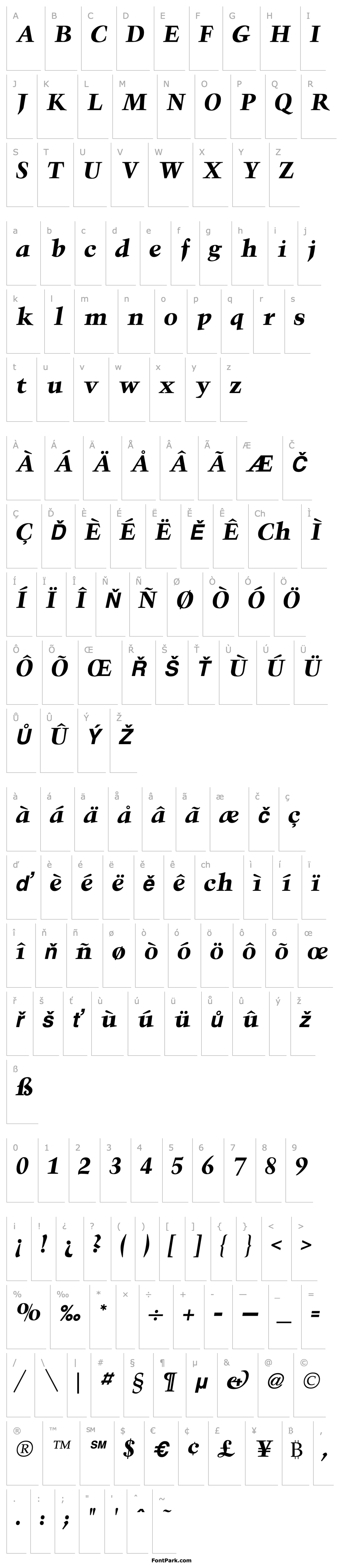 Overview Triumph Bold Italic