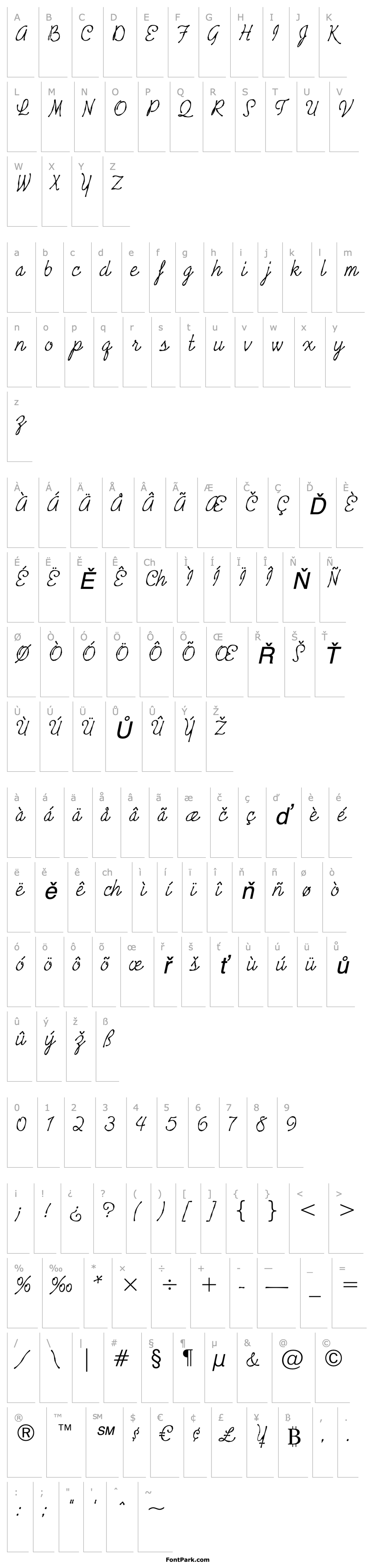 Overview Tropicali Script BTN Bamboo Oblique