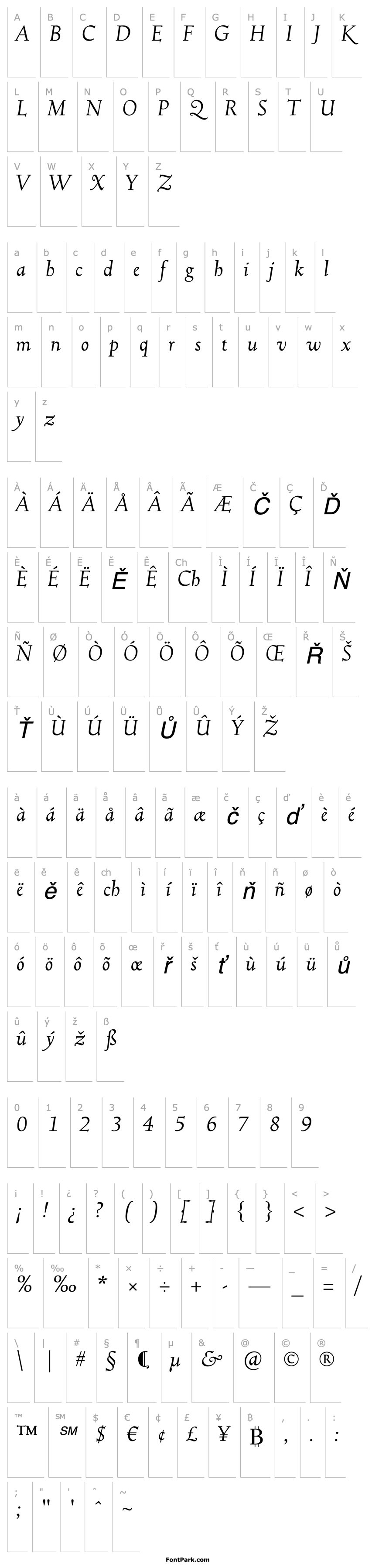 Přehled TruesdellStd-Italic