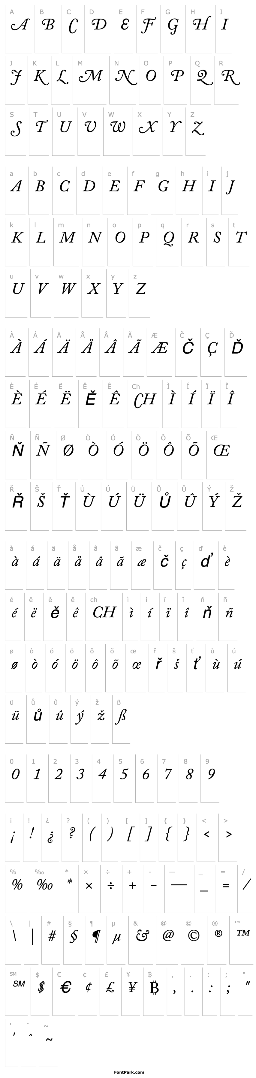 Overview tsp machina 1 caps Italic