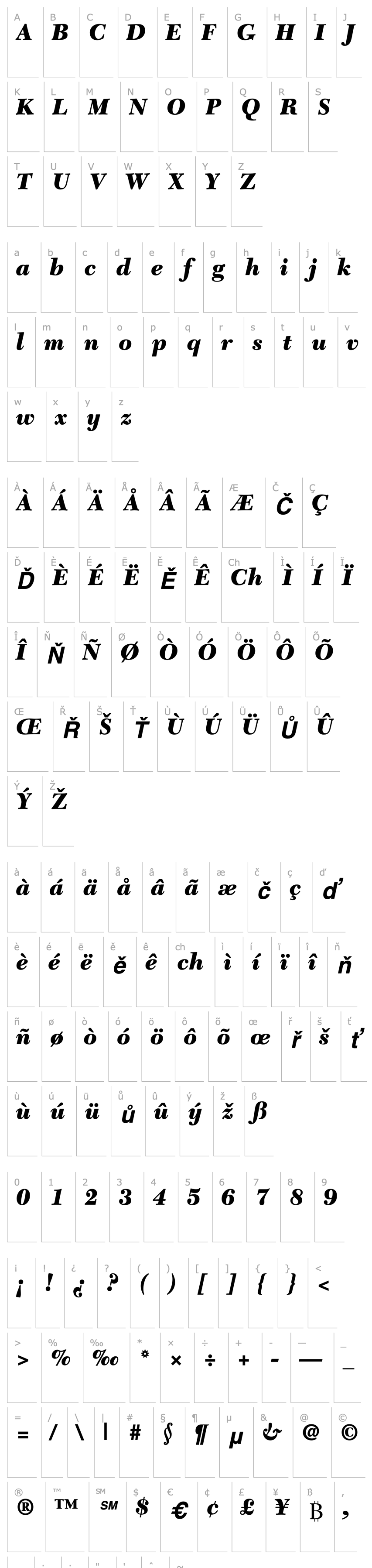 Overview Tycoon Black SSi Black Italic