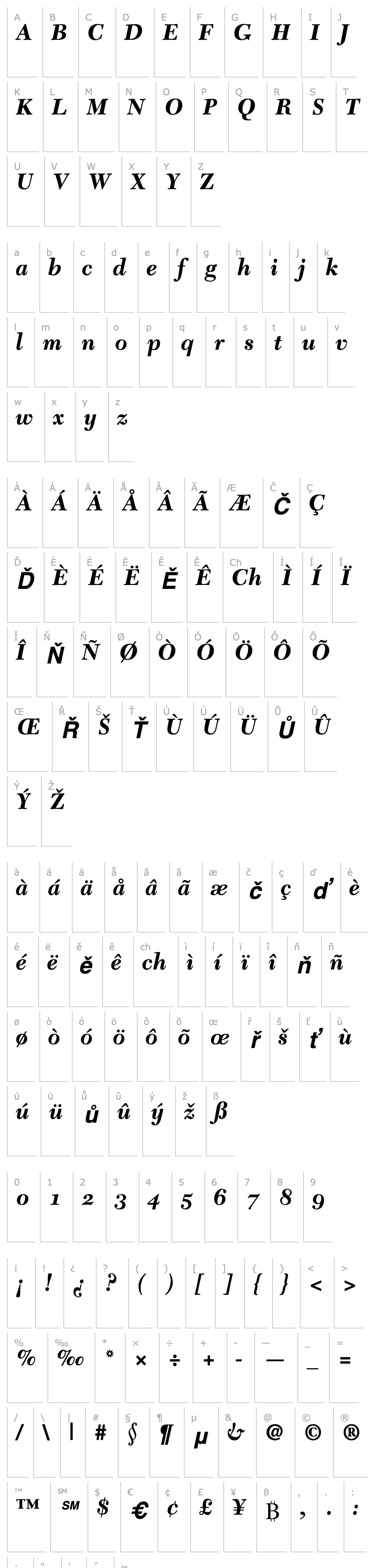 Přehled Tycoon SSi Bold Italic Old Style Figures