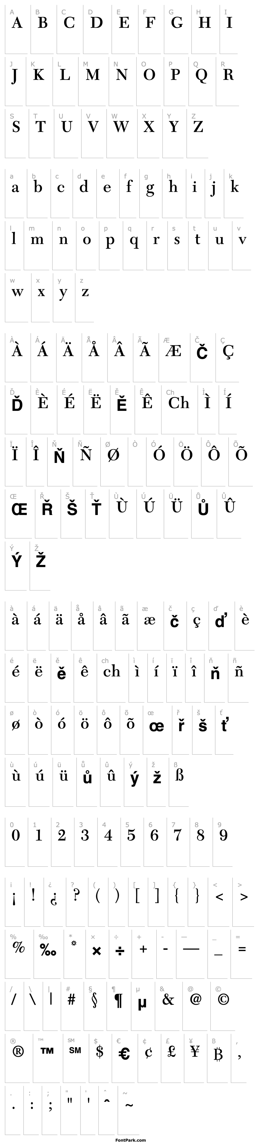 Přehled Tycoon SSi Semi Bold