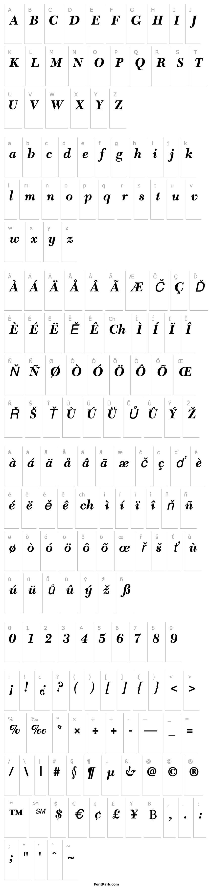 Overview TycoonBlackSSK Italic