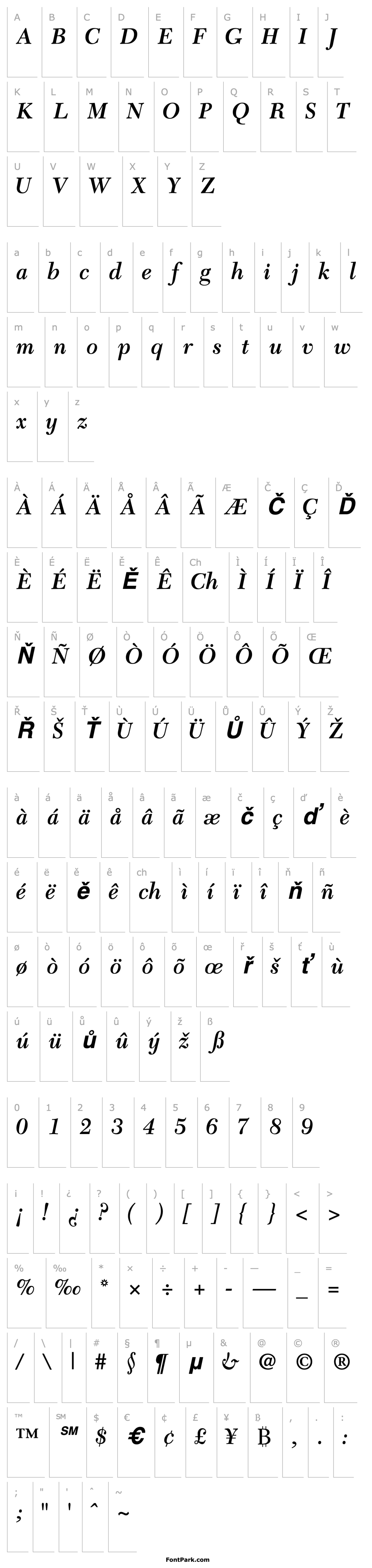 Overview TycoonSSK Bold Italic