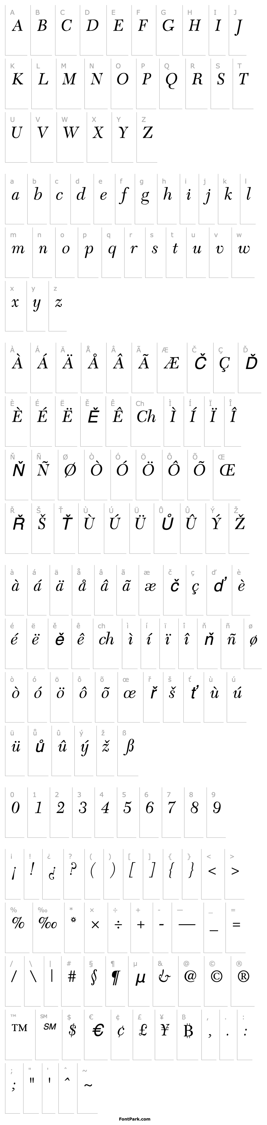 Overview TycoonSSK Italic