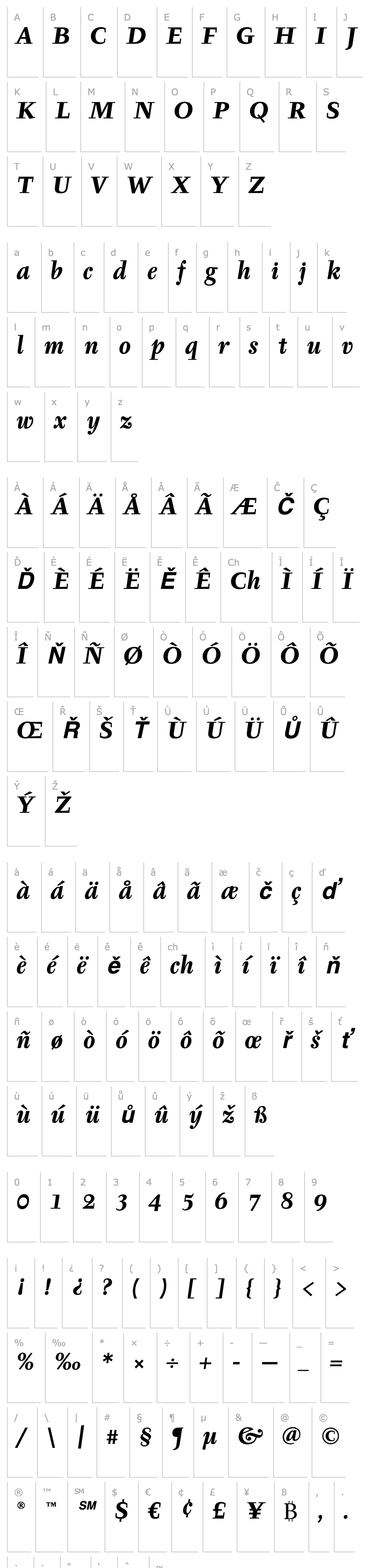 Overview Tyfa ITC Bold Italic