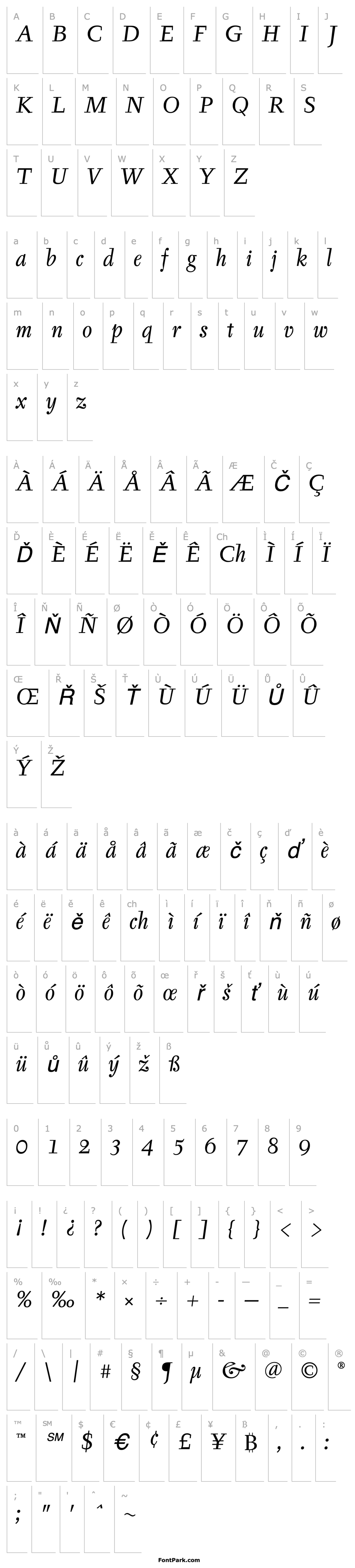 Overview TyfaITC TT BookItalic