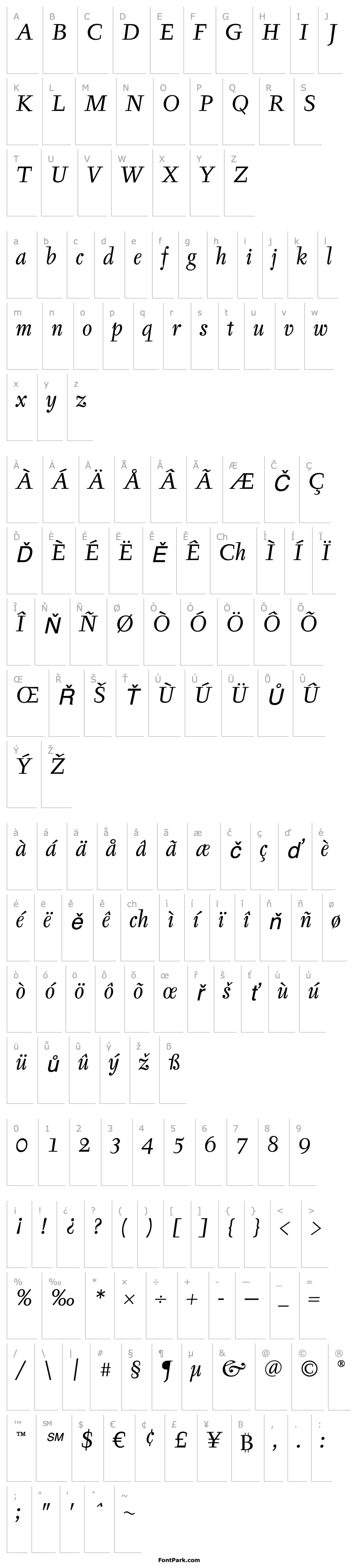 Přehled TyfaITCStd-BookItalic