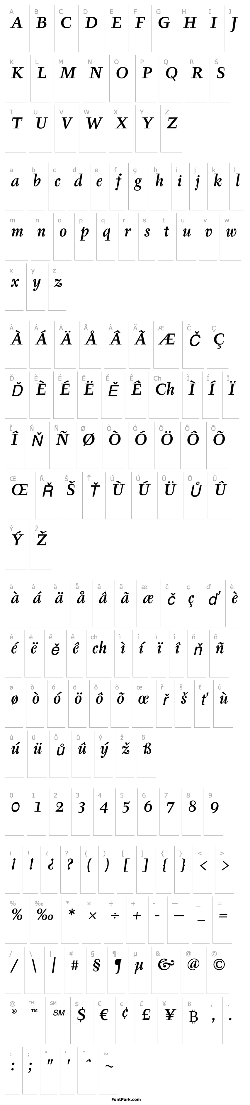 Přehled TyfaITCStd-MediumItalic