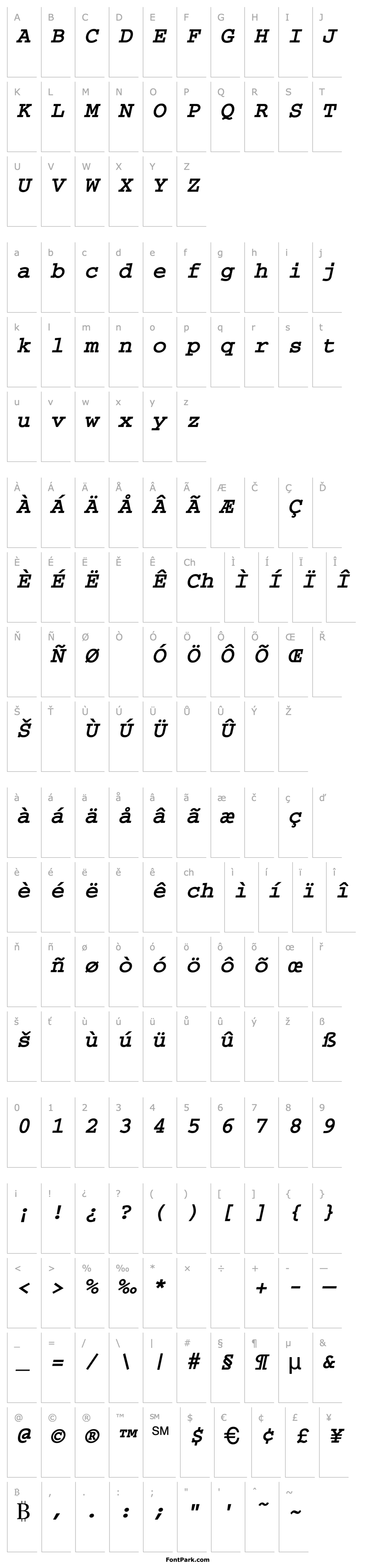 Overview Typewriter-BoldOblique