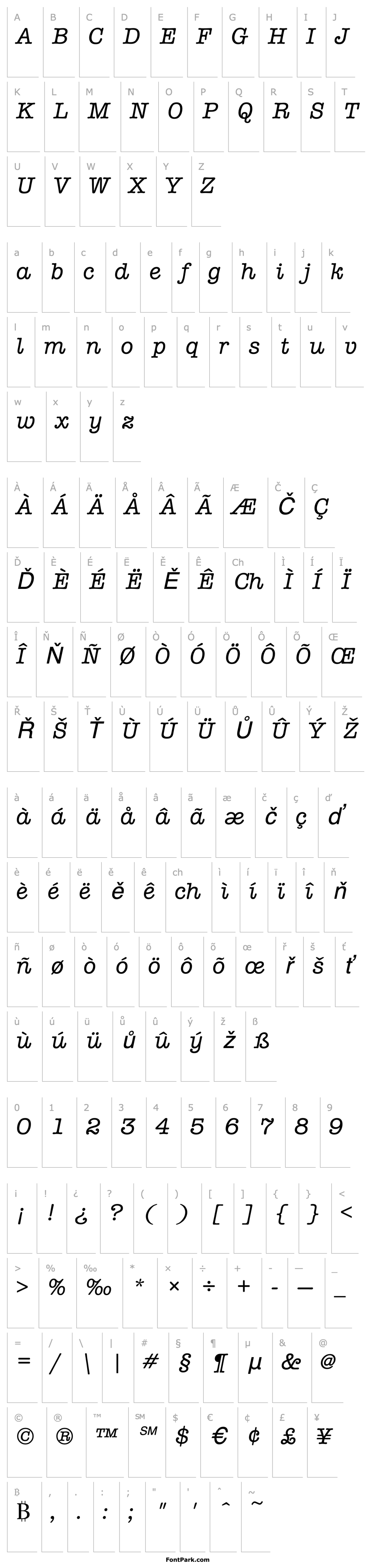 Overview Typewriter Italic