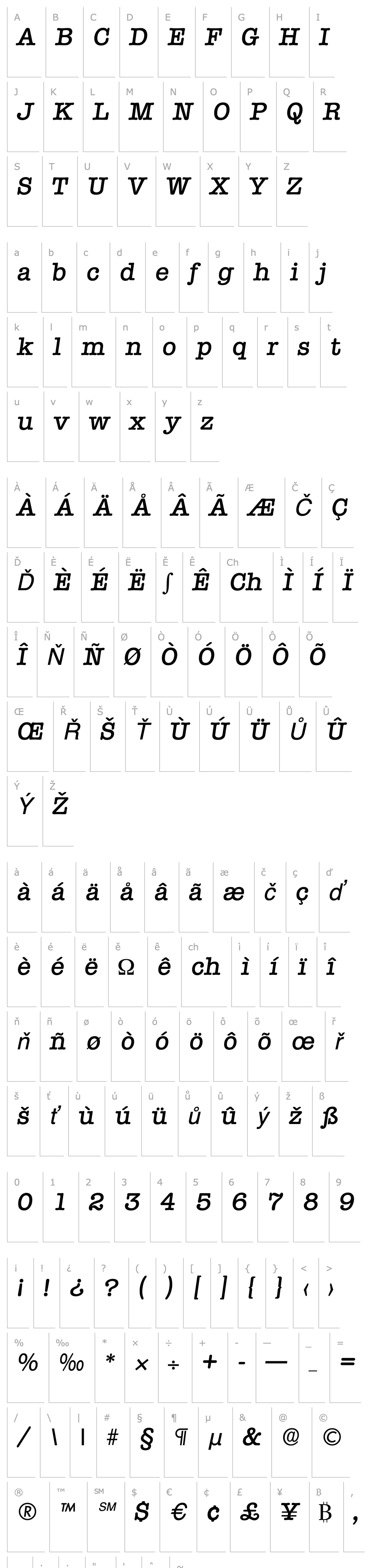 Přehled Typewriter-Serial-Medium-RegularItalic