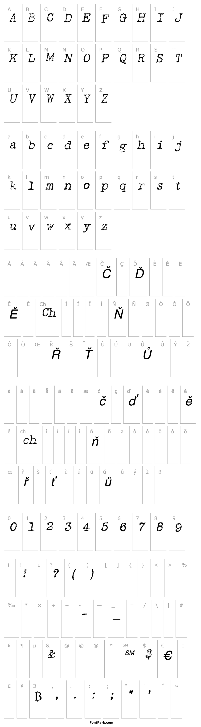 Přehled TypewriterRough Italic