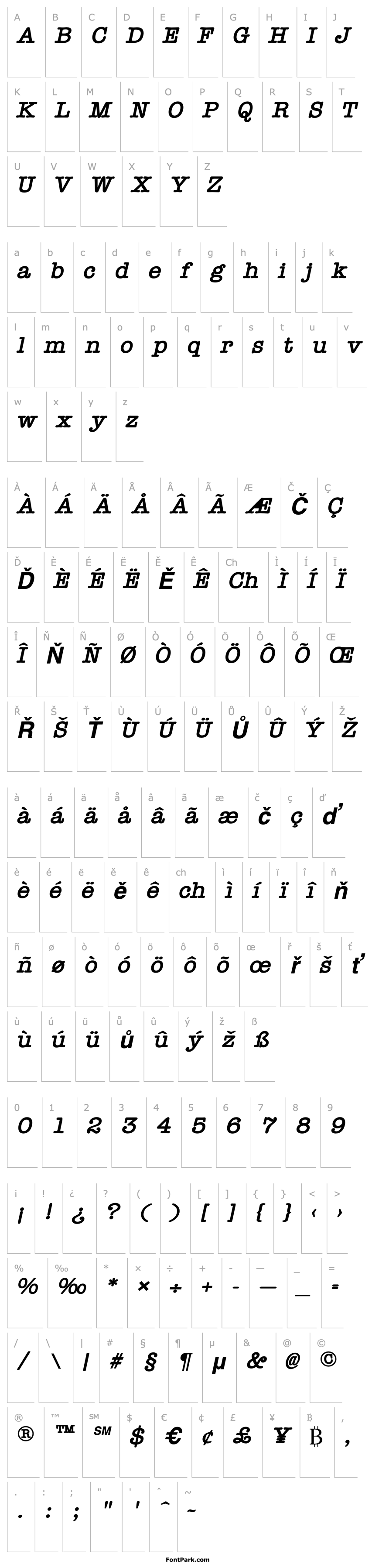 Přehled Typist Bold Italic