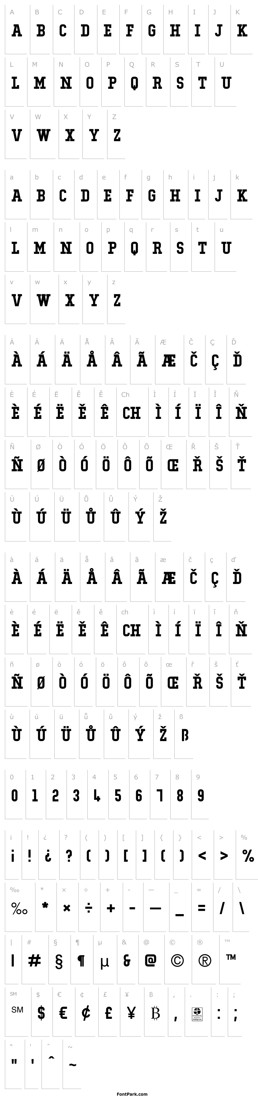 Přehled Typo College Demo