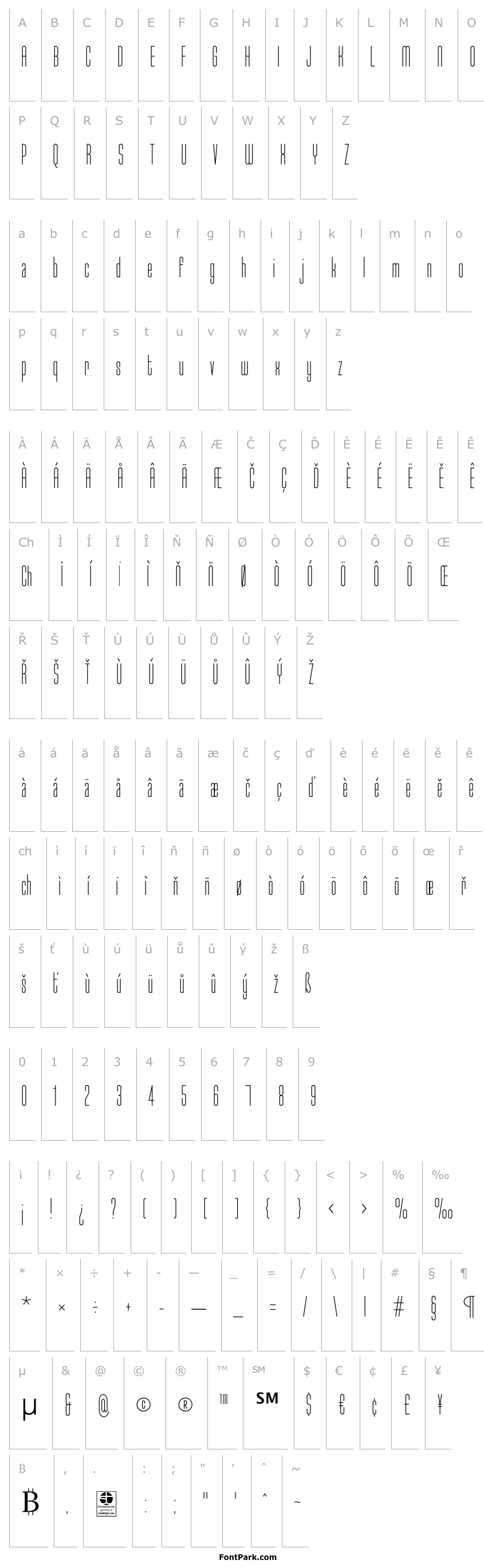 Přehled Typo-Longest Light Demo