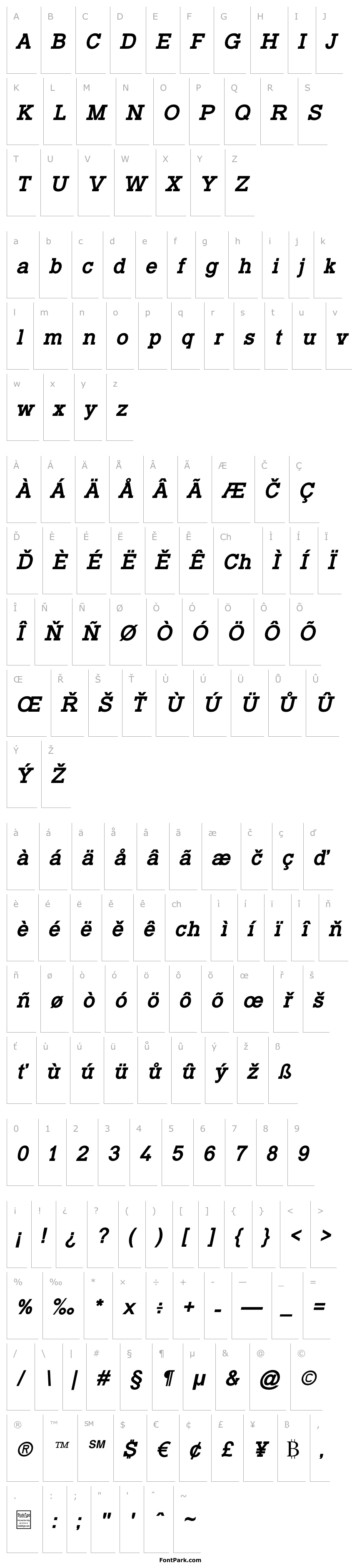 Přehled Typo Slab Bold Italic