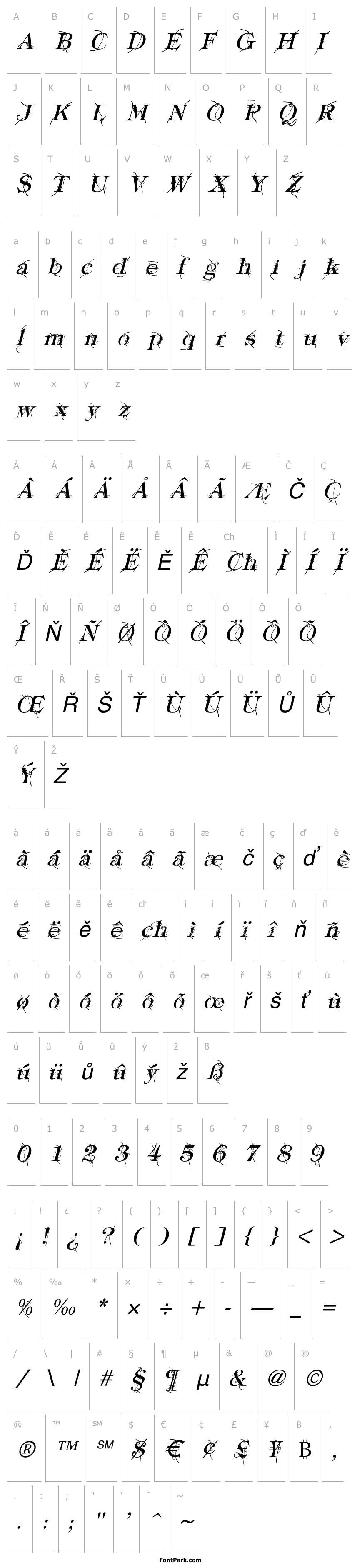 Přehled Typography ties Italic