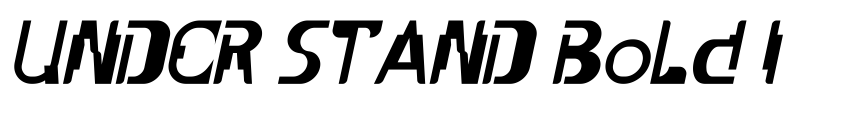 Preview UNDER STAND Bold Italic