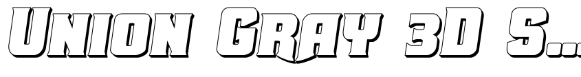 Preview Union Gray 3D Semi-Italic
