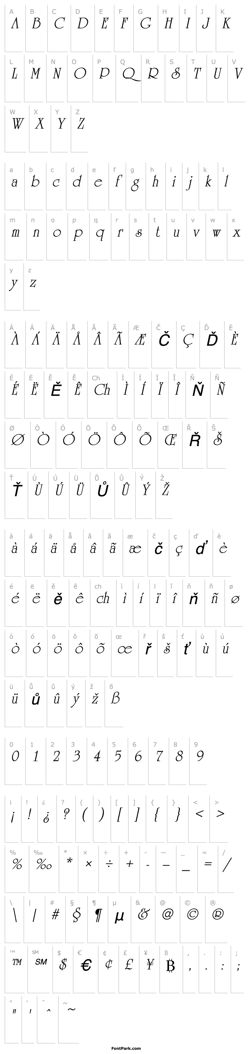 Přehled University Italic