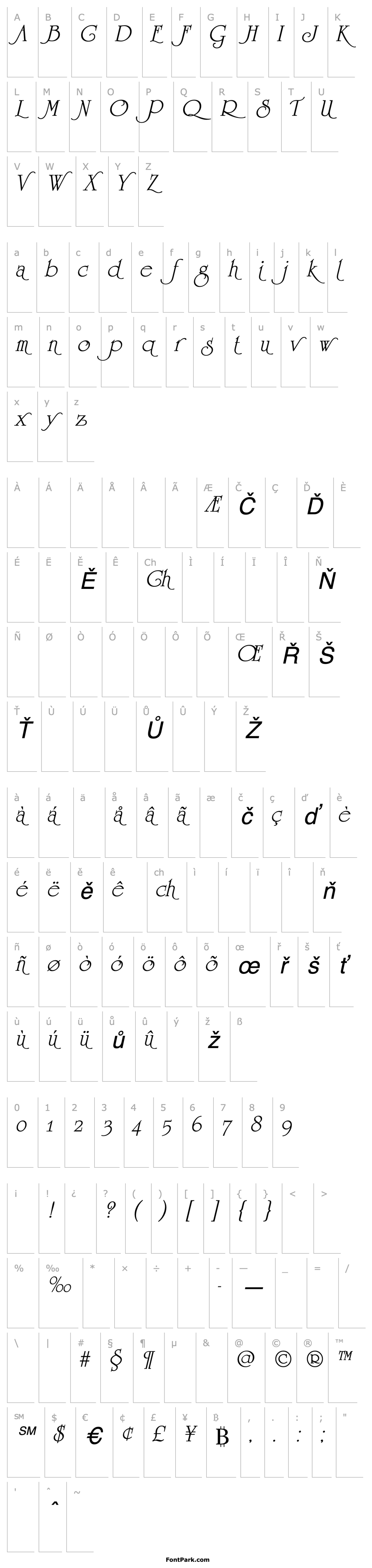 Přehled University Italic Swash