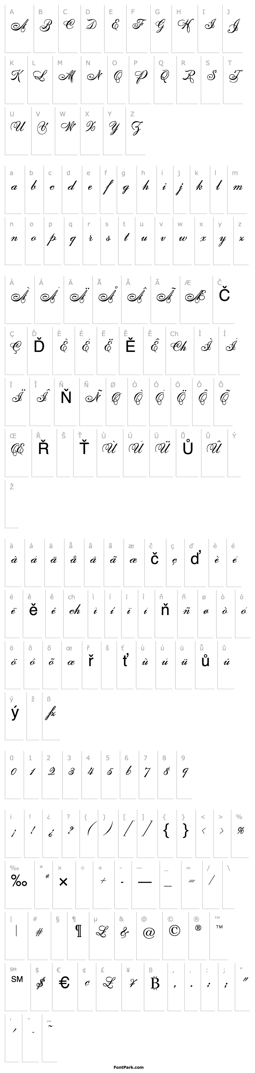 Přehled University Script