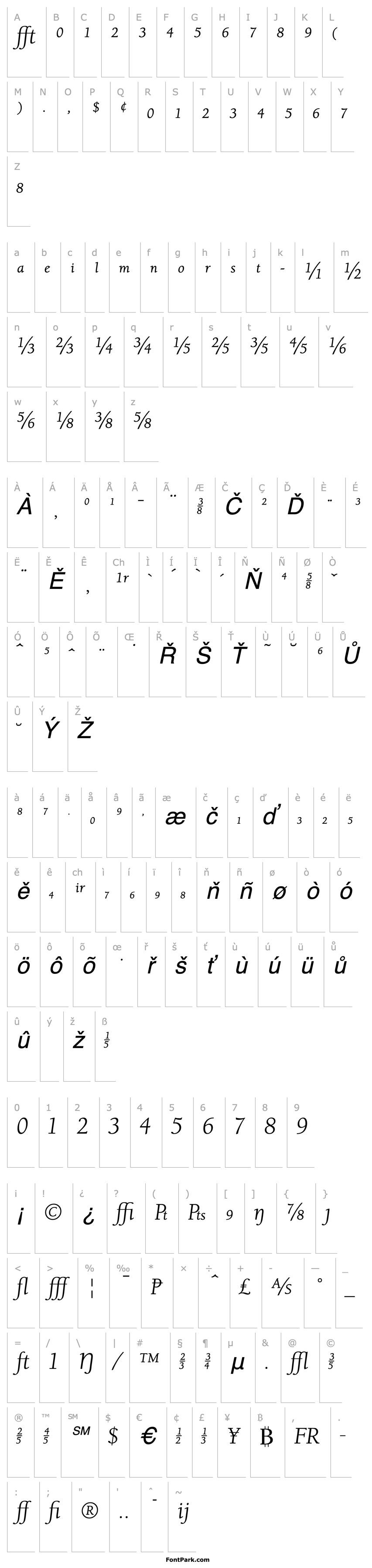 Přehled UniversityOldExp Italic