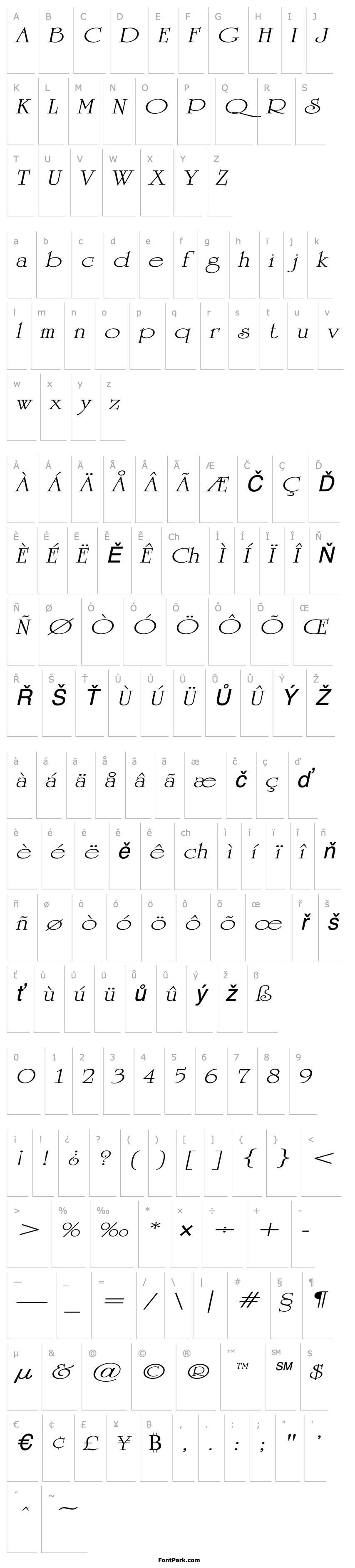 Overview UniversityOrnateExtended Italic