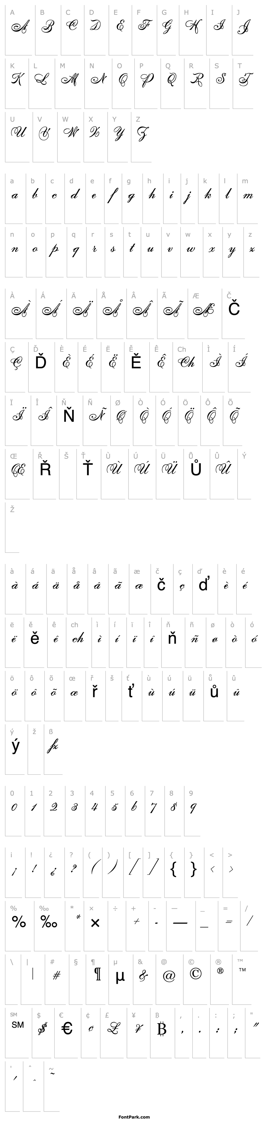 Overview UniversityScript-Regular