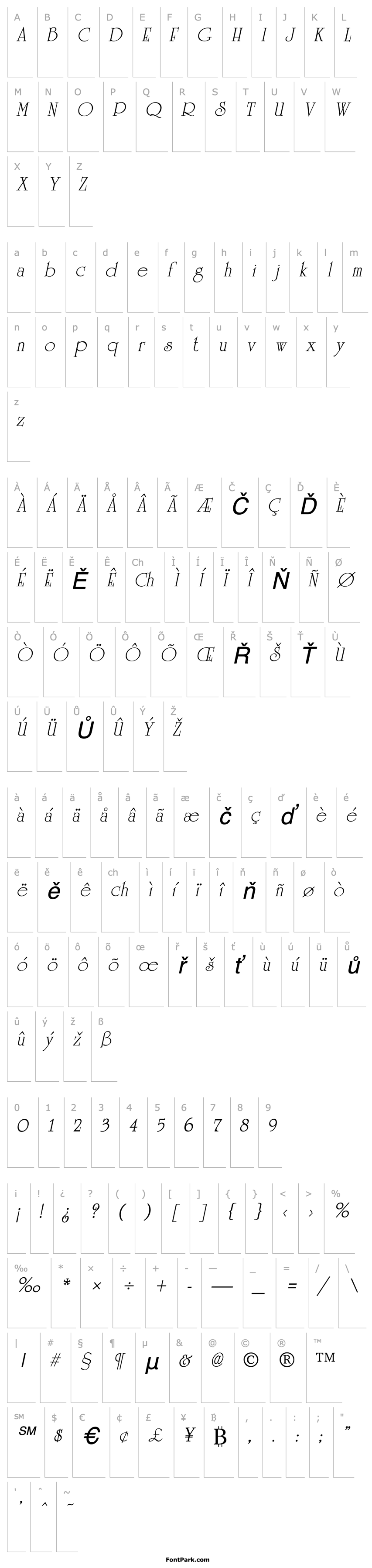 Přehled UniversityVariation Italic