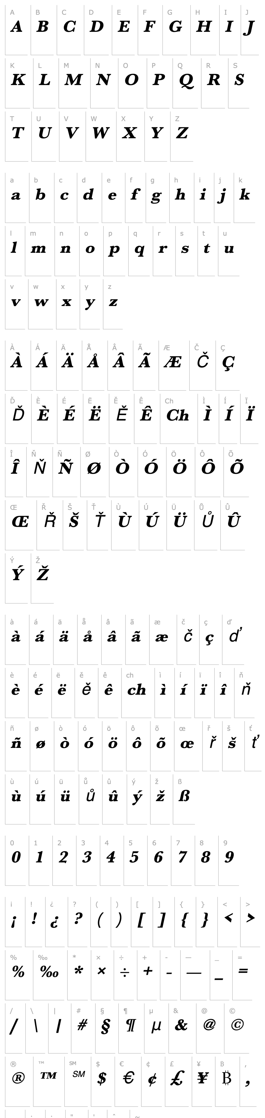 Přehled URWBaskerTExtBolWid Oblique