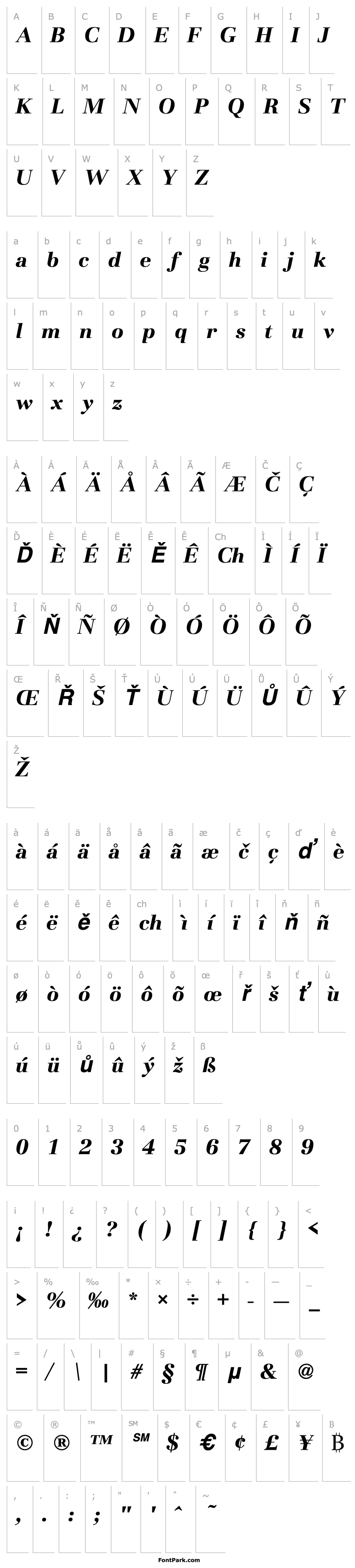 Přehled URWBassorahT Bold Italic 