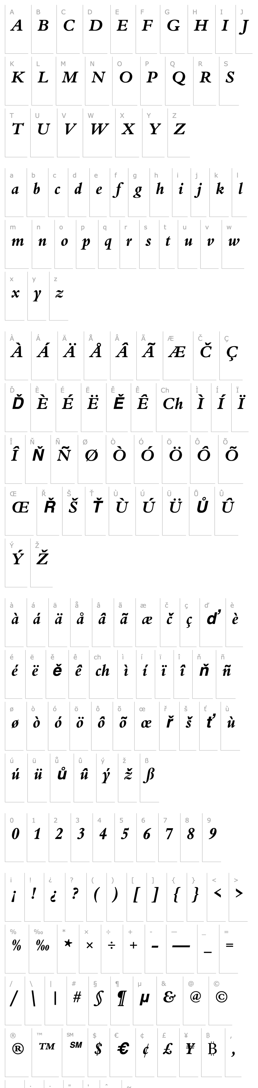 Přehled URWBeruiniT Bold Italic