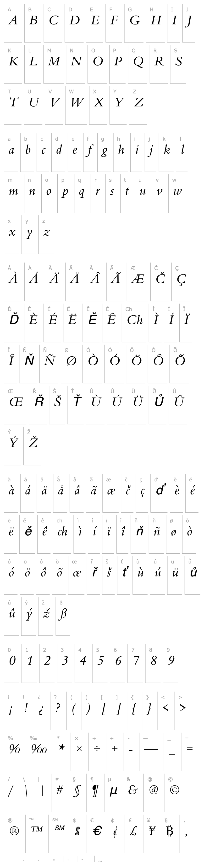 Přehled URWBeruiniT Italic