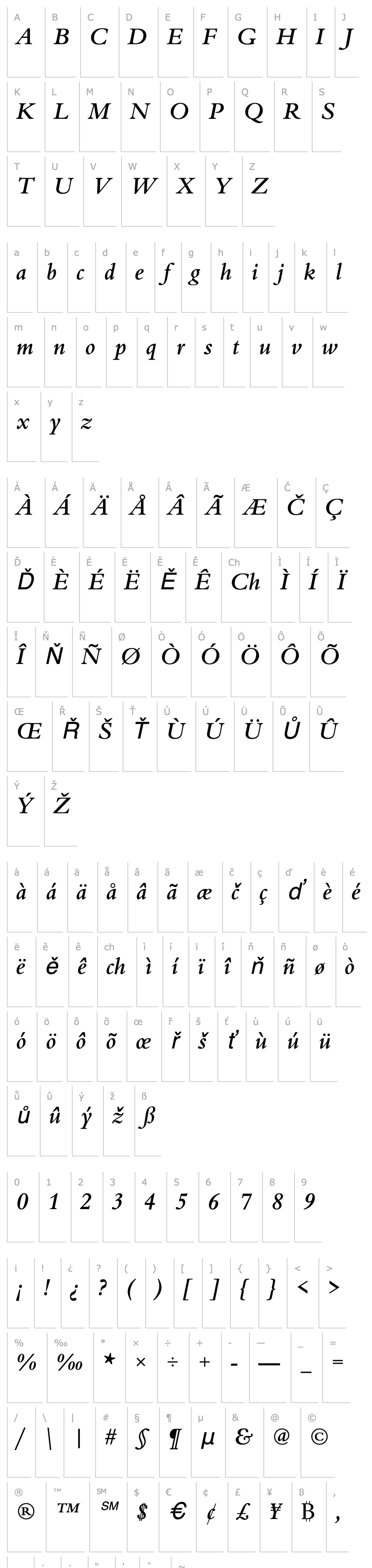 Přehled URWBeruiniTMed Italic