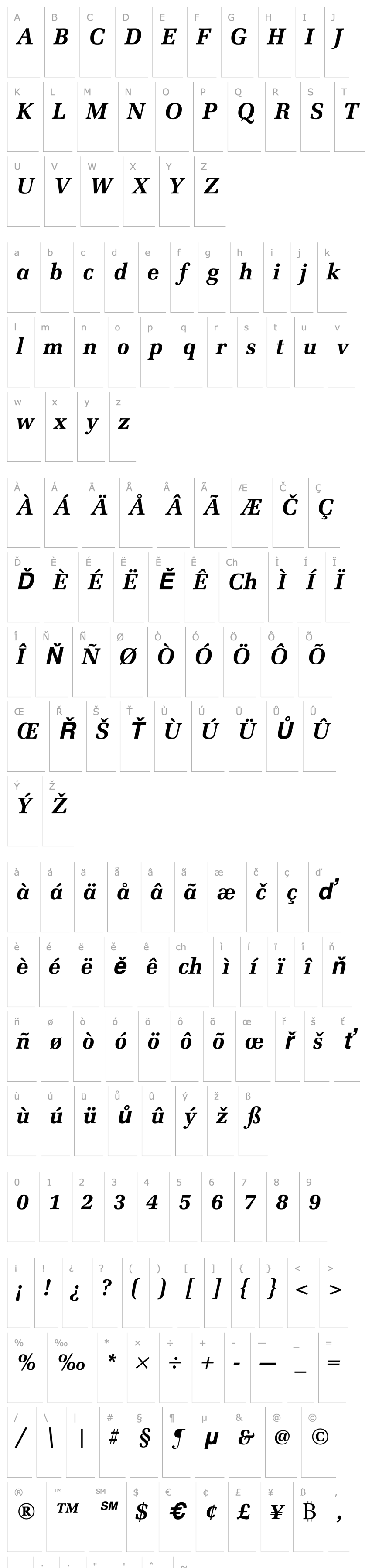 Přehled URWLatinoT Bold Italic