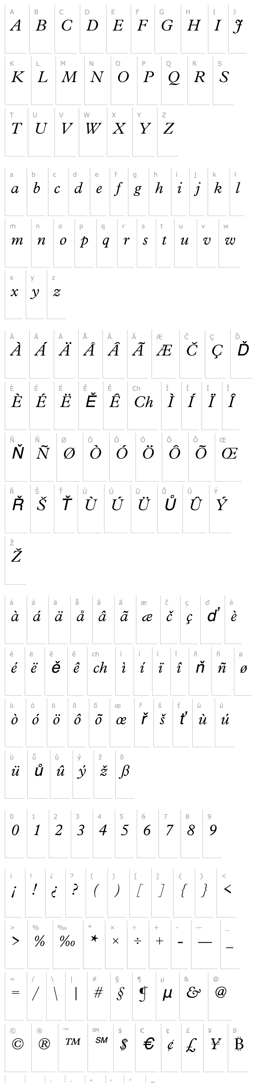 Přehled URWPleiadesTLig Italic