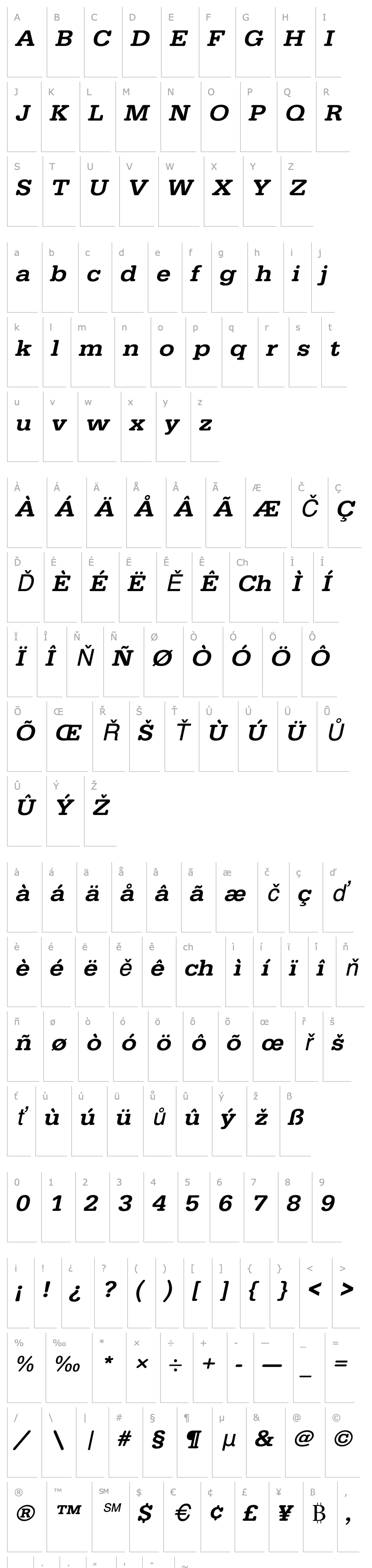 Přehled URWTypewriterTMedExtWid Oblique