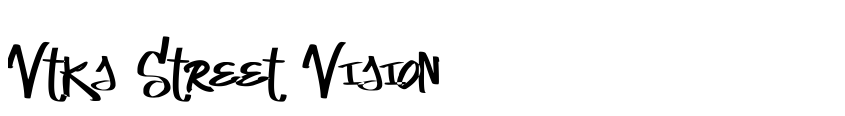 Preview Vtks Street Vision