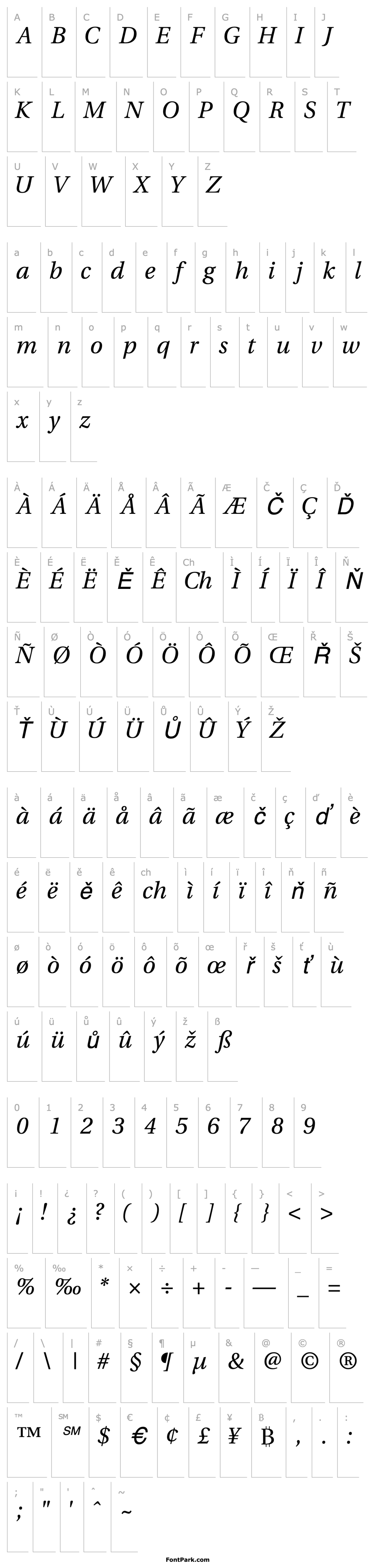 Přehled VeracitySSK Italic