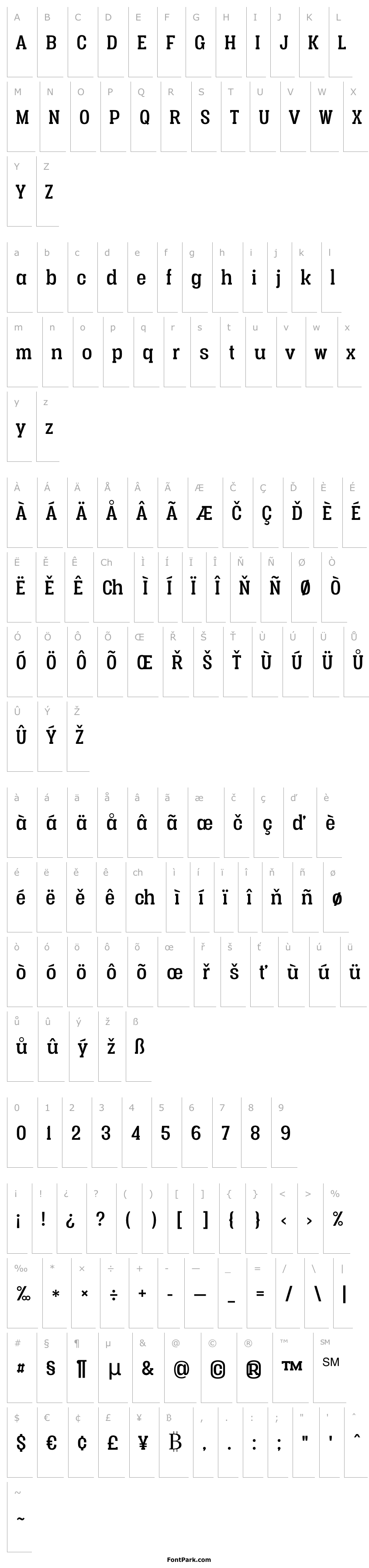 Přehled Vacer Serif Personal