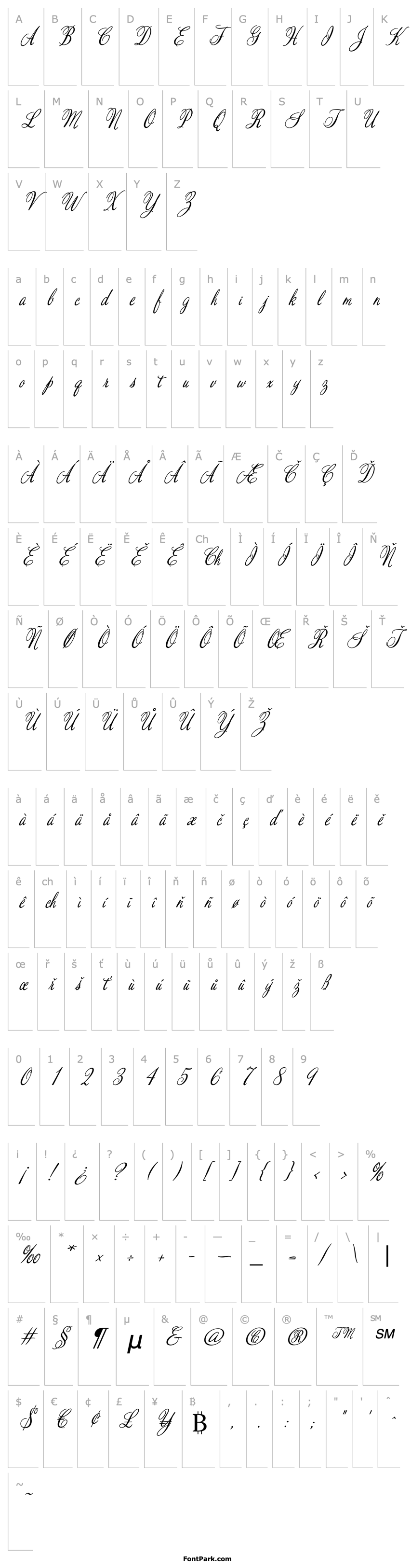 Overview ValentinePro-MediumItalic