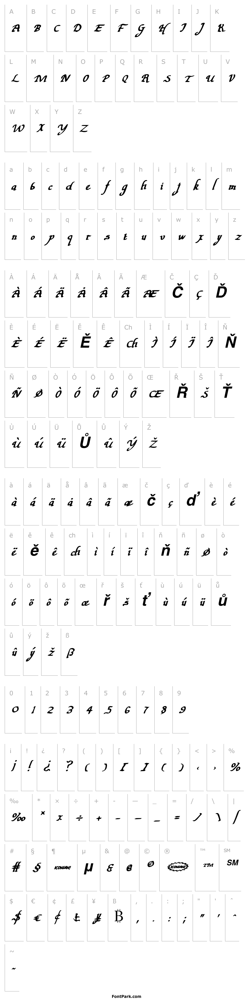Overview Valley Forge Bold Italic